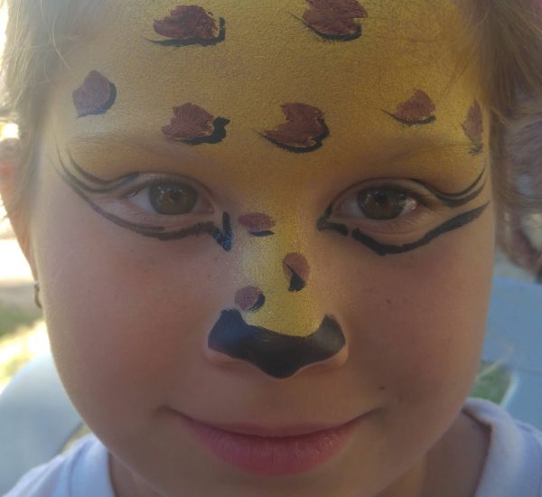 איפור פנים של חתולה