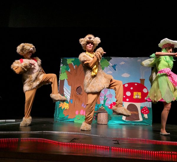 תמונה הרפתקה