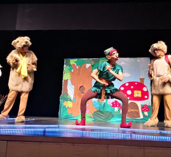 תמונה הרפתקה