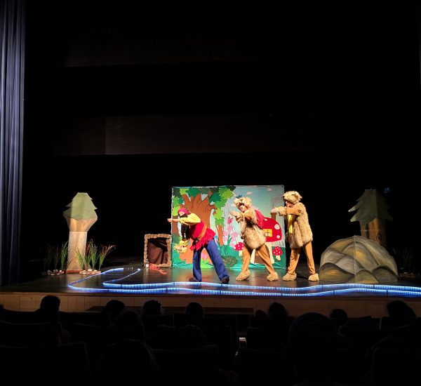 תמונה הרפתקה