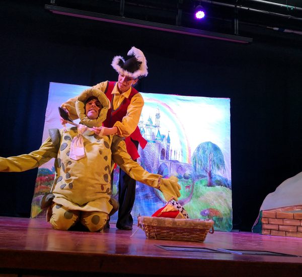 הצגת ילדים נסיך צפרדע