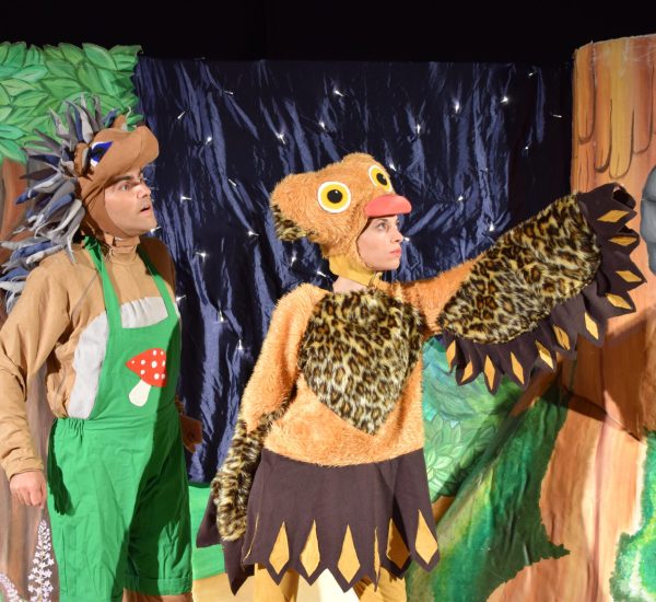 קיפודי והינשוף